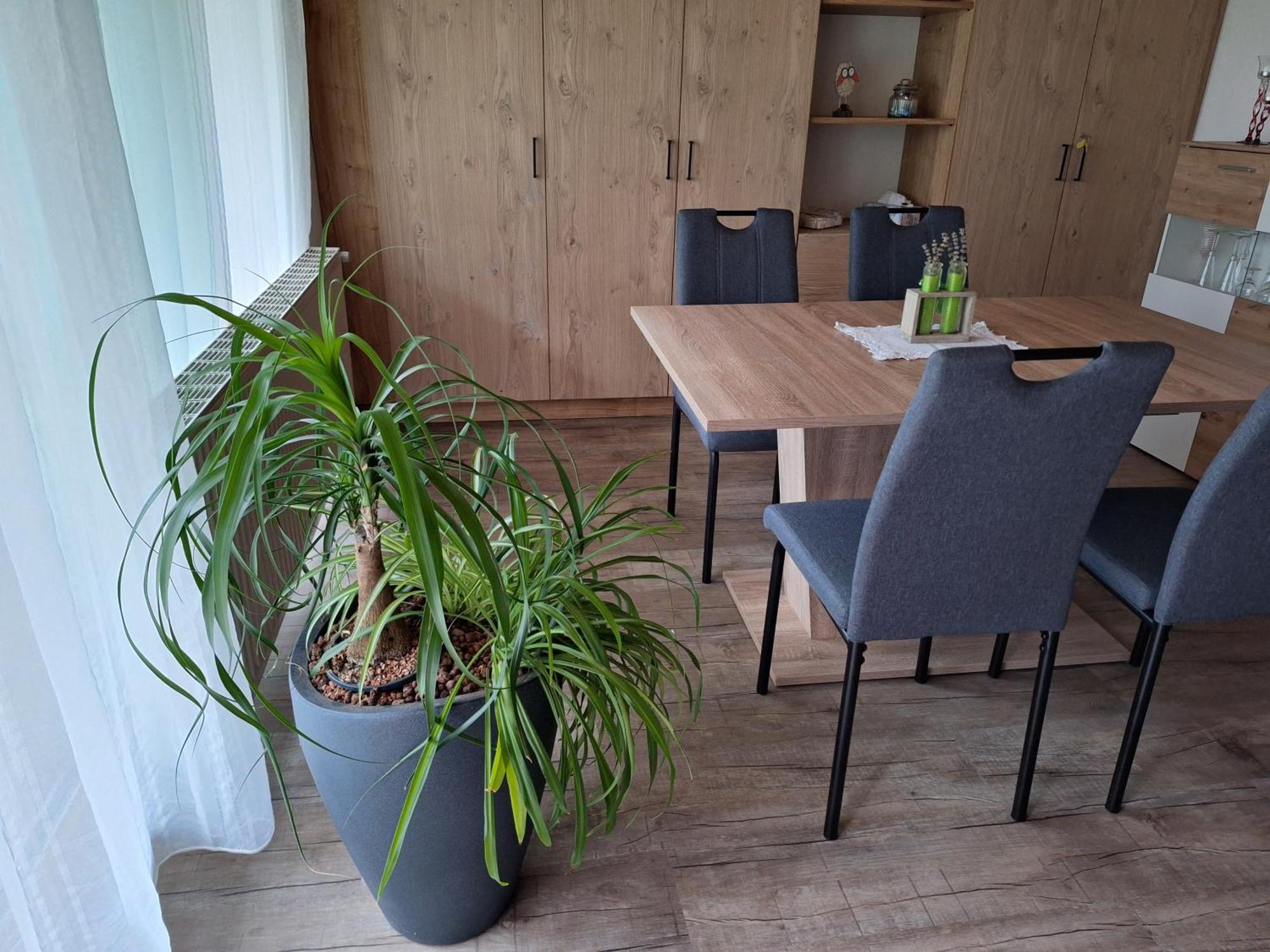 Apartment Eva Sautens Exteriör bild